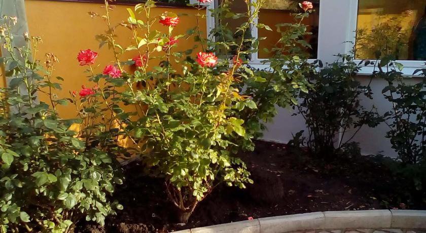 Гостевой дом Парадиз Коктебель-38